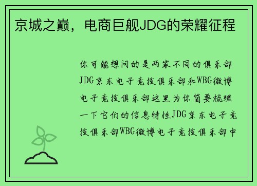 京城之巅，电商巨舰JDG的荣耀征程